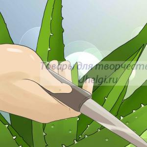 Ambra Aloe Vera krem ​​sabunu - “Aloe vera krem ​​sabunu - sabun bazasından duş qəbul etmək üçün idealdır.