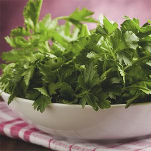 Possible uses of parsley during pregnancy